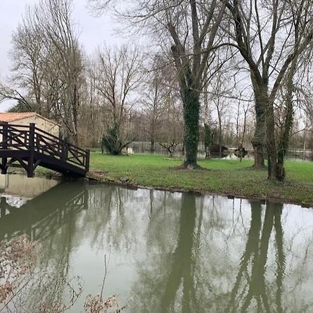 Maison Terrasse Proche Centre Ville Et Ile De Re La Rochelle  Kültér fotó